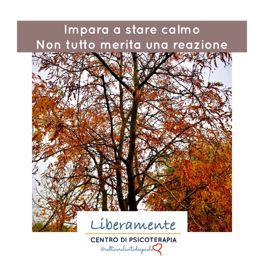 immaginecoltivarelavitadocpaola©